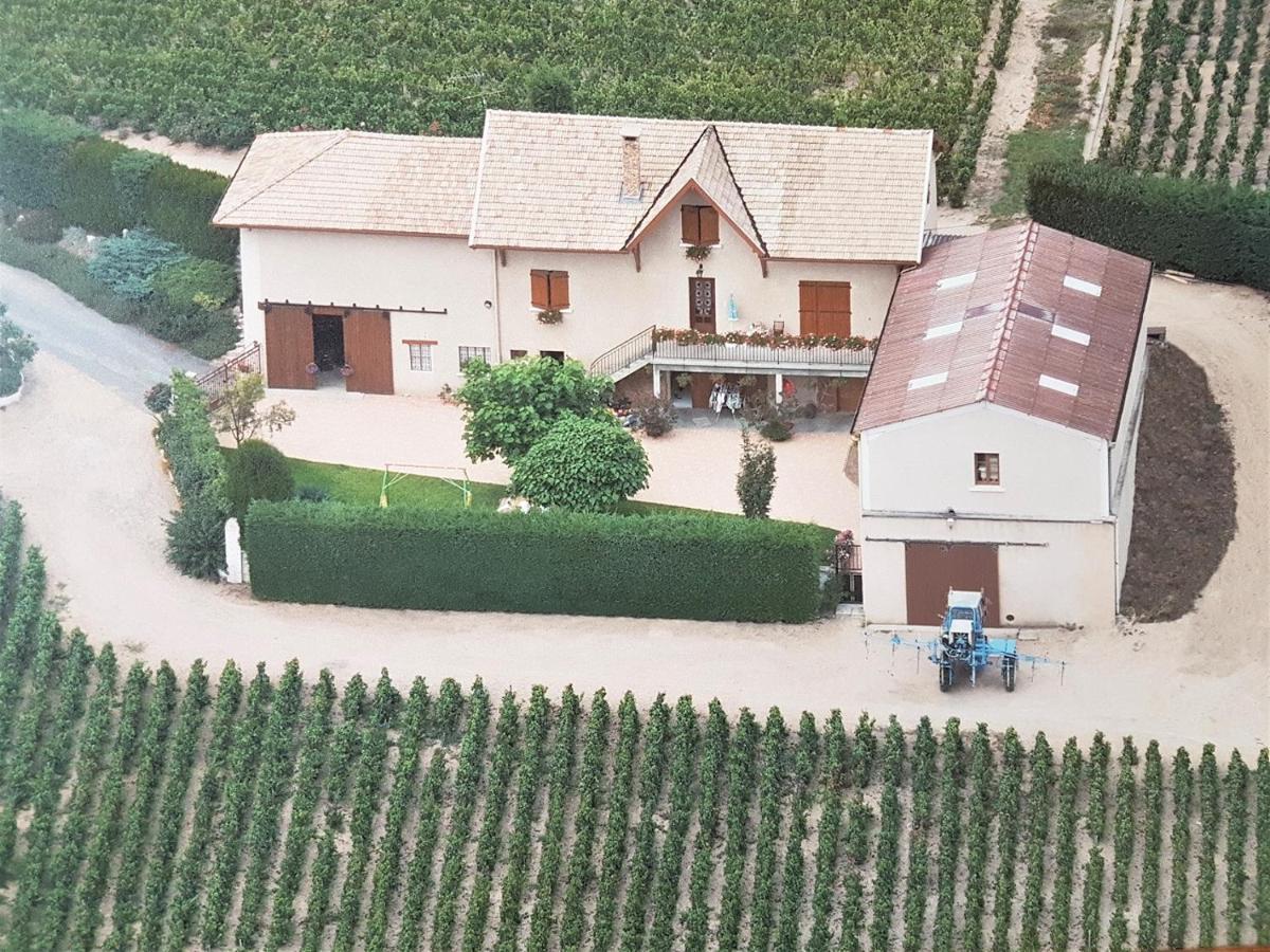 Chambres D Hotes Au Domaine De Robert Fleurie Exterior photo